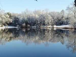 Beautiful pond in the snow